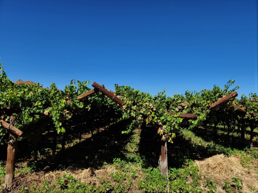 Commercial Property for Sale in Kakamas Rural Northern Cape